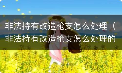 非法持有改造枪支怎么处理（非法持有改造枪支怎么处理的）