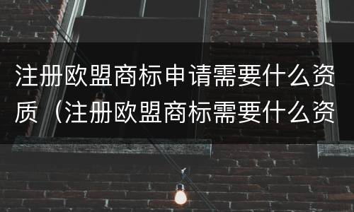 注册欧盟商标申请需要什么资质（注册欧盟商标需要什么资料）