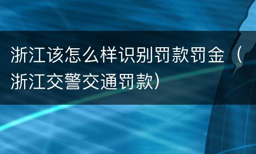 浙江该怎么样识别罚款罚金（浙江交警交通罚款）