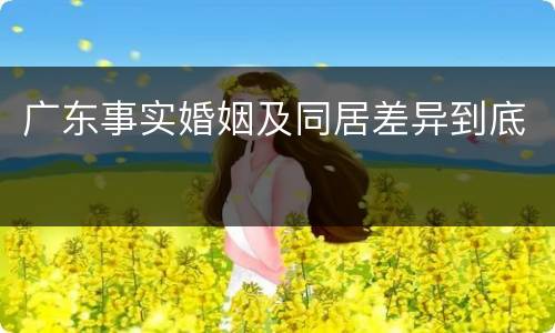 广东事实婚姻及同居差异到底