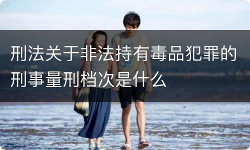 刑法关于非法持有毒品犯罪的刑事量刑档次是什么