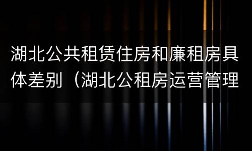 湖北公共租赁住房和廉租房具体差别（湖北公租房运营管理）