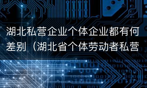 湖北私营企业个体企业都有何差别（湖北省个体劳动者私营企业协会）
