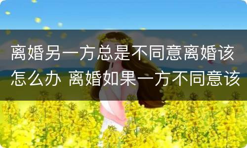 离婚另一方总是不同意离婚该怎么办 离婚如果一方不同意该怎么办