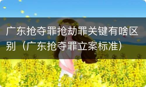 广东抢夺罪抢劫罪关键有啥区别（广东抢夺罪立案标准）