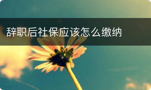 辞职后社保应该怎么缴纳