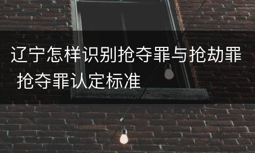 辽宁怎样识别抢夺罪与抢劫罪 抢夺罪认定标准