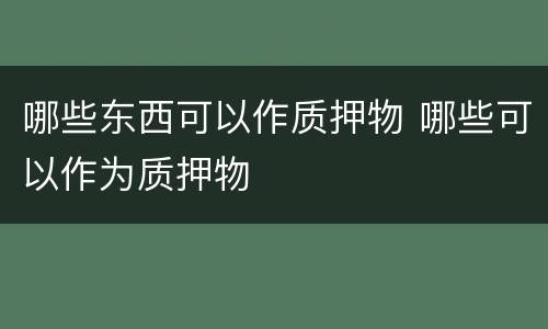 哪些东西可以作质押物 哪些可以作为质押物
