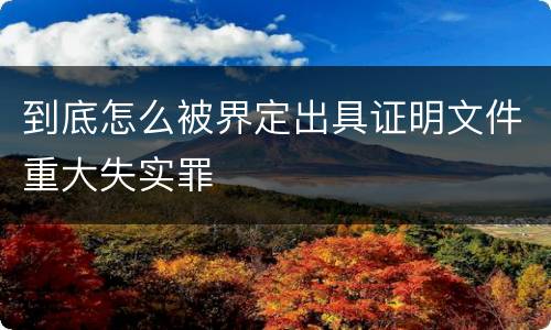 到底怎么被界定出具证明文件重大失实罪