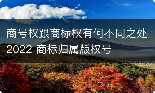 商号权跟商标权有何不同之处2022 商标归属版权号