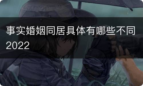 事实婚姻同居具体有哪些不同2022