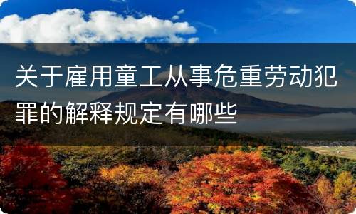 关于雇用童工从事危重劳动犯罪的解释规定有哪些