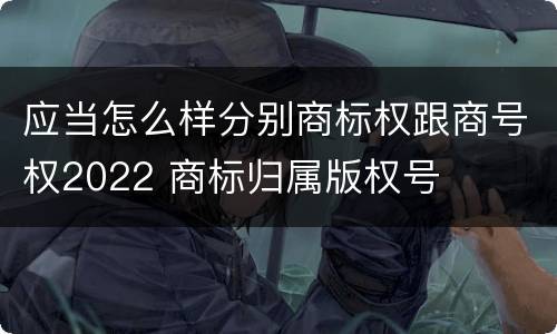 应当怎么样分别商标权跟商号权2022 商标归属版权号
