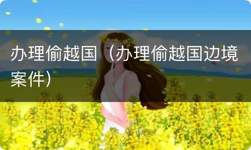 办理偷越国（办理偷越国边境案件）
