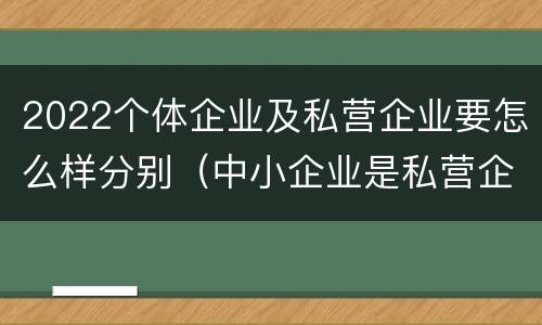 2022个体企业及私营企业要怎么样分别（中小企业是私营企业吗）