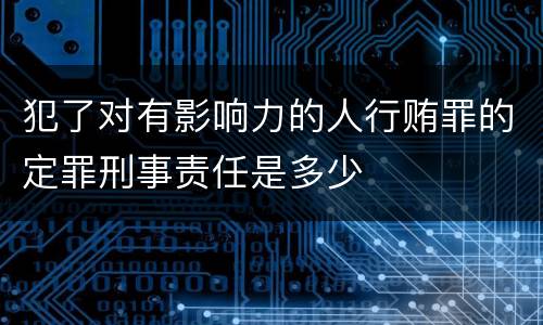 犯了对有影响力的人行贿罪的定罪刑事责任是多少