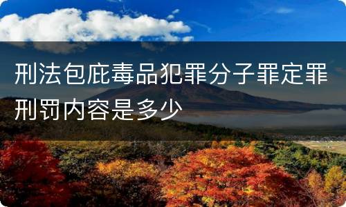 刑法包庇毒品犯罪分子罪定罪刑罚内容是多少