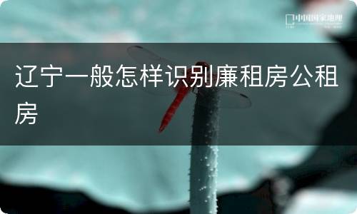 辽宁一般怎样识别廉租房公租房