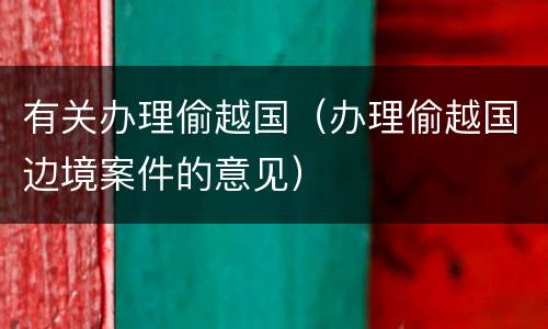 有关办理偷越国（办理偷越国边境案件的意见）