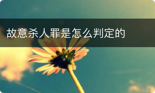 故意杀人罪是怎么判定的