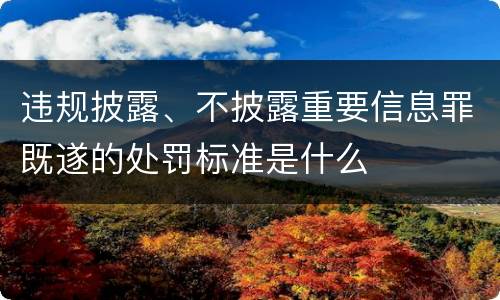 违规披露、不披露重要信息罪既遂的处罚标准是什么