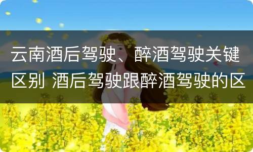 云南酒后驾驶、醉酒驾驶关键区别 酒后驾驶跟醉酒驾驶的区别