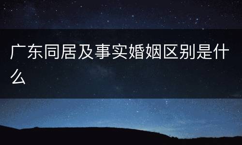 广东同居及事实婚姻区别是什么