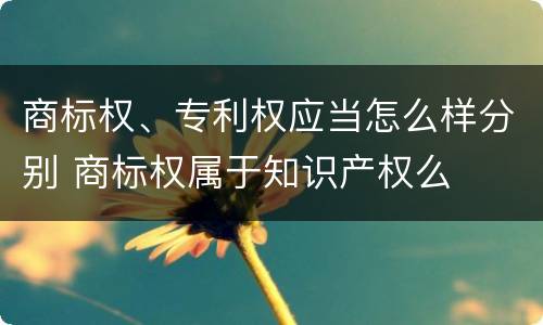 商标权、专利权应当怎么样分别 商标权属于知识产权么
