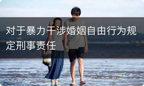 对于暴力干涉婚姻自由行为规定刑事责任