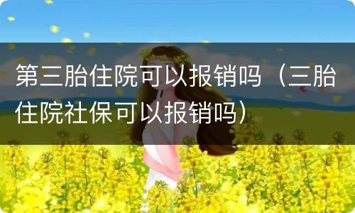 第三胎住院可以报销吗（三胎住院社保可以报销吗）