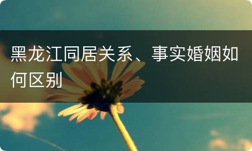 黑龙江同居关系、事实婚姻如何区别