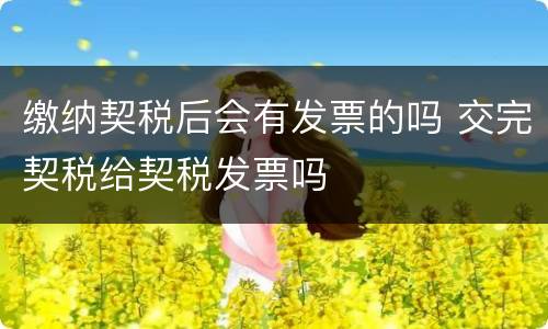 缴纳契税后会有发票的吗 交完契税给契税发票吗