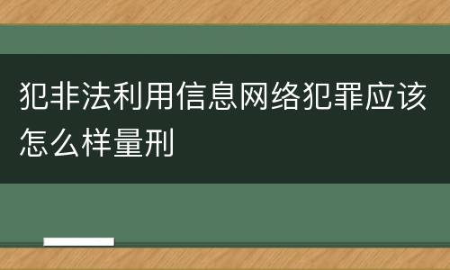 犯非法利用信息网络犯罪应该怎么样量刑