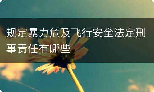 规定暴力危及飞行安全法定刑事责任有哪些