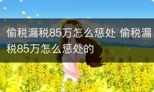 偷税漏税85万怎么惩处 偷税漏税85万怎么惩处的