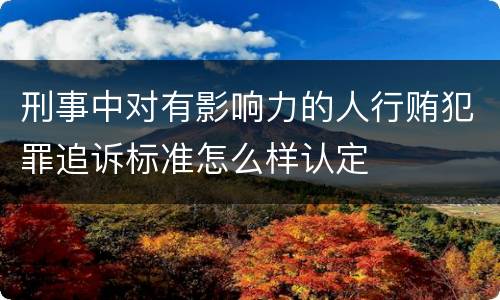 刑事中对有影响力的人行贿犯罪追诉标准怎么样认定
