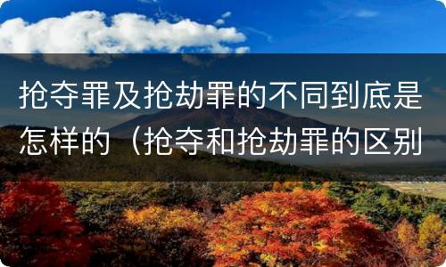 抢夺罪及抢劫罪的不同到底是怎样的（抢夺和抢劫罪的区别）