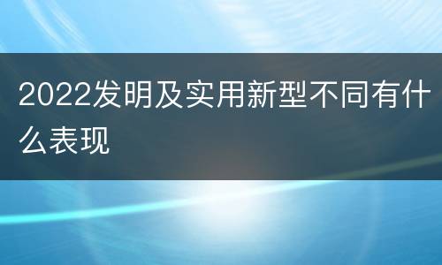 2022发明及实用新型不同有什么表现