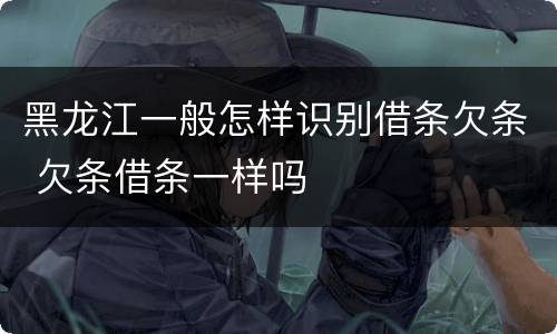 黑龙江一般怎样识别借条欠条 欠条借条一样吗