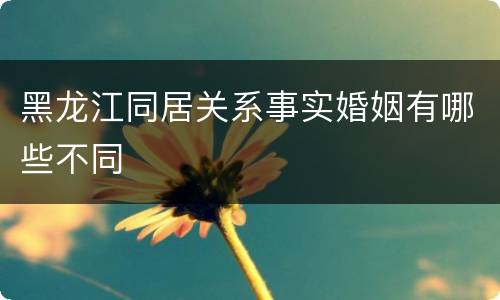 黑龙江同居关系事实婚姻有哪些不同