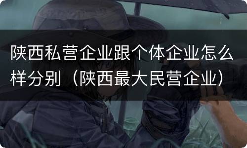 陕西私营企业跟个体企业怎么样分别（陕西最大民营企业）
