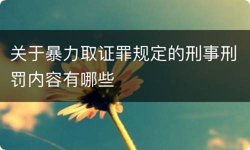 关于暴力取证罪规定的刑事刑罚内容有哪些