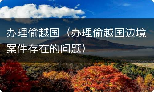 办理偷越国（办理偷越国边境案件存在的问题）