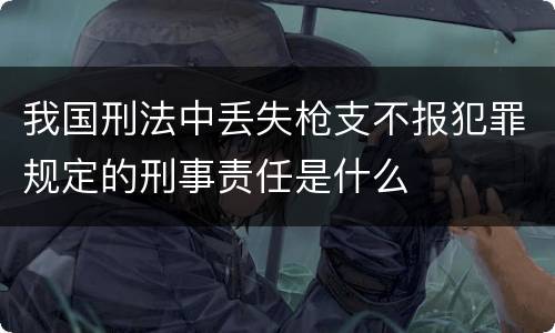 我国刑法中丢失枪支不报犯罪规定的刑事责任是什么