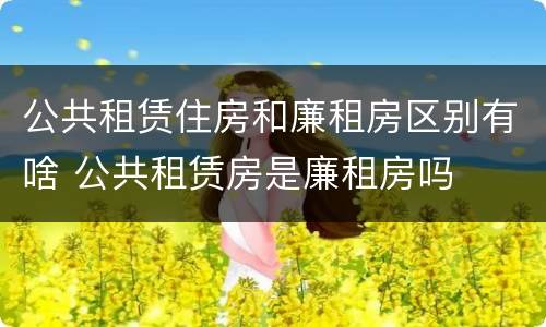 公共租赁住房和廉租房区别有啥 公共租赁房是廉租房吗