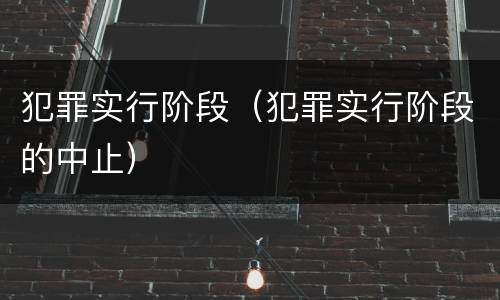 犯罪实行阶段（犯罪实行阶段的中止）