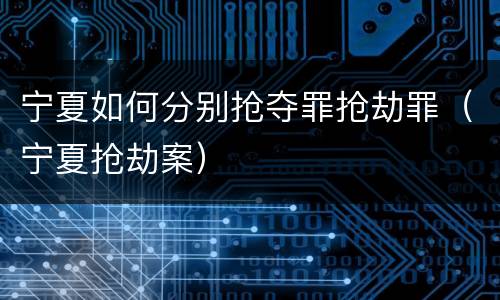 宁夏如何分别抢夺罪抢劫罪（宁夏抢劫案）