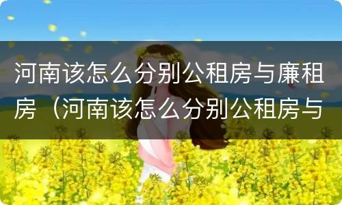 河南该怎么分别公租房与廉租房（河南该怎么分别公租房与廉租房呢）