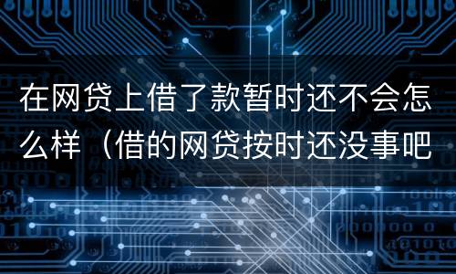 在网贷上借了款暂时还不会怎么样（借的网贷按时还没事吧）