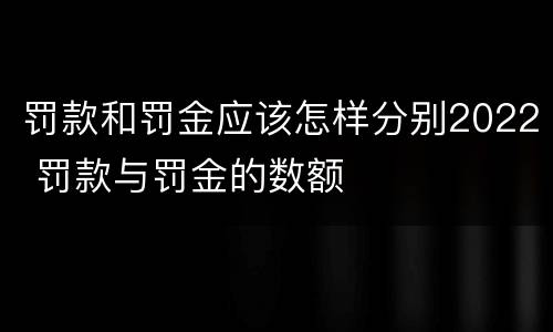 罚款和罚金应该怎样分别2022 罚款与罚金的数额